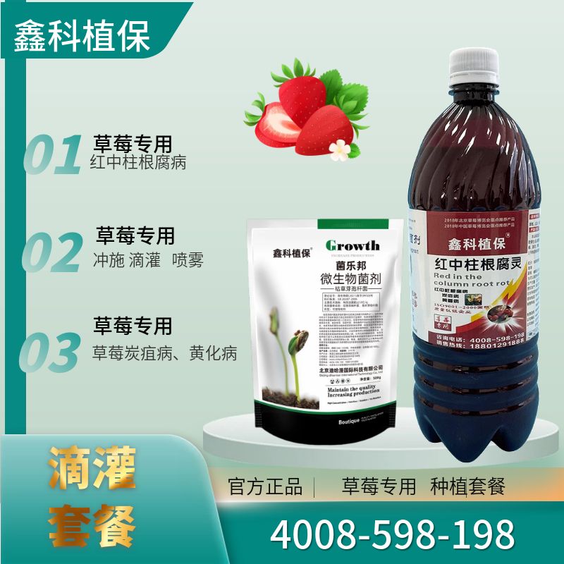 草莓滴灌套餐.jpg