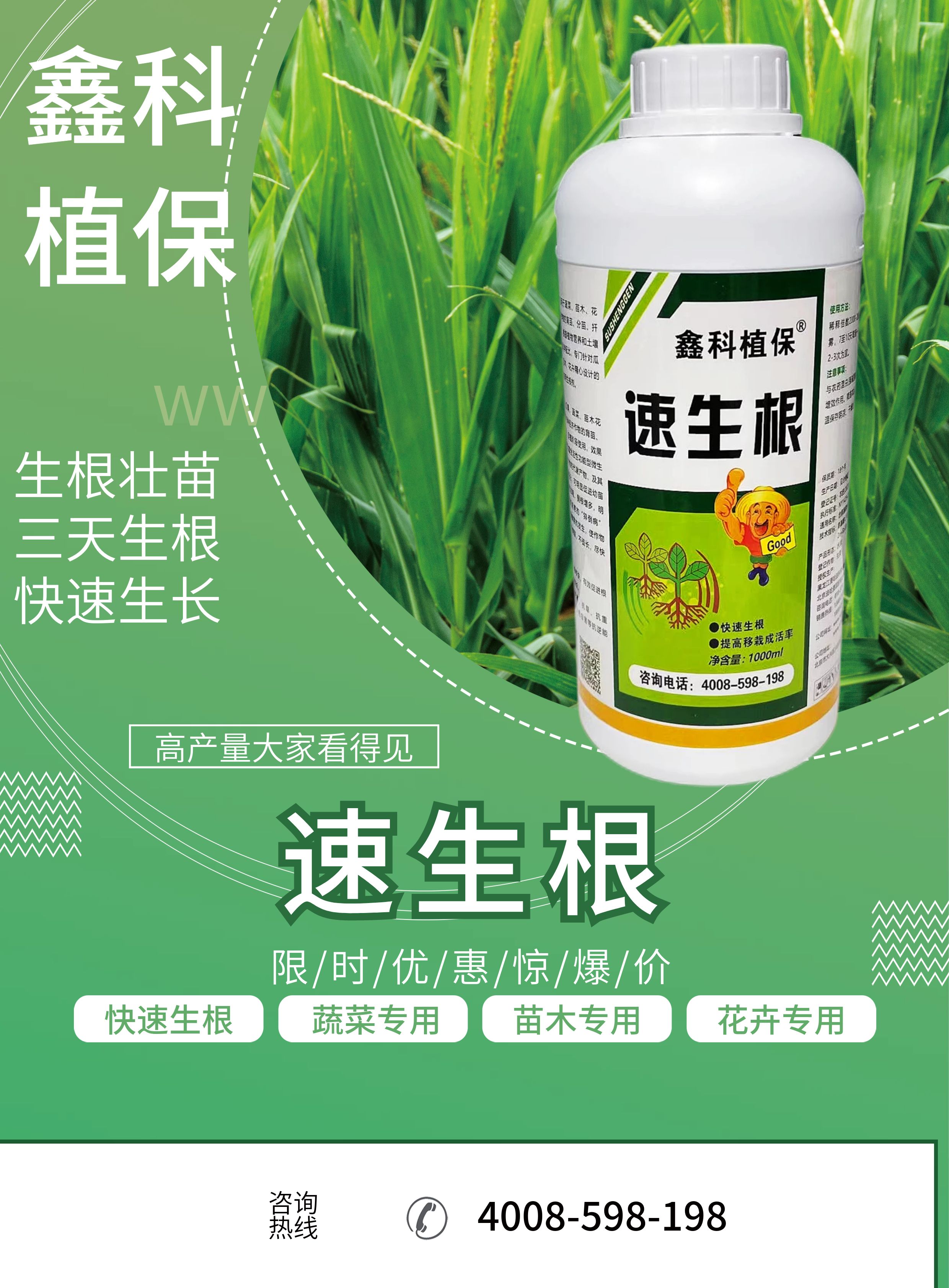速生根.jpg
