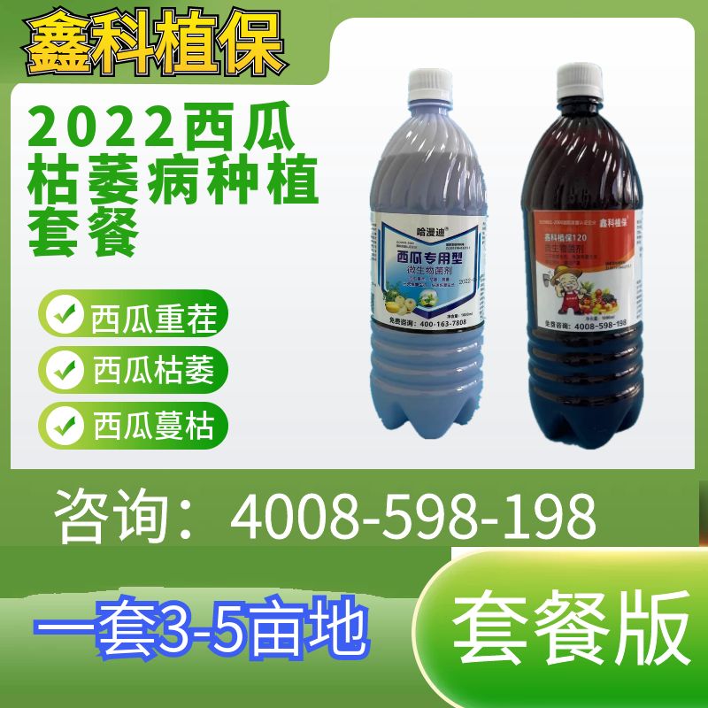 西瓜 白.jpg