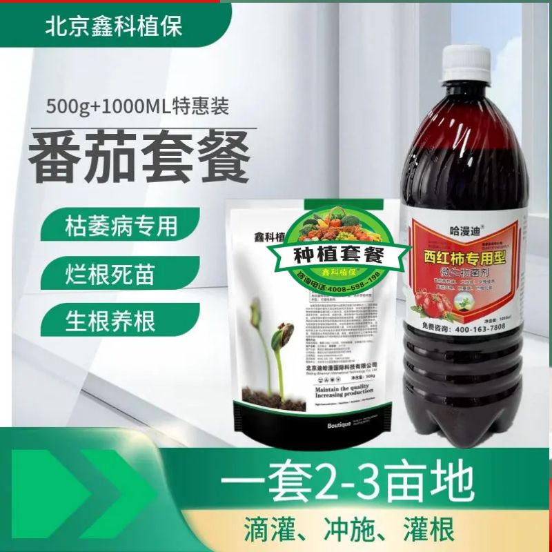 番茄.jpg