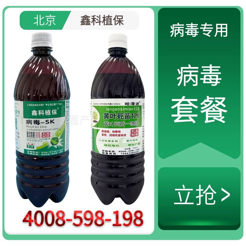 病毒sk (1).jpg