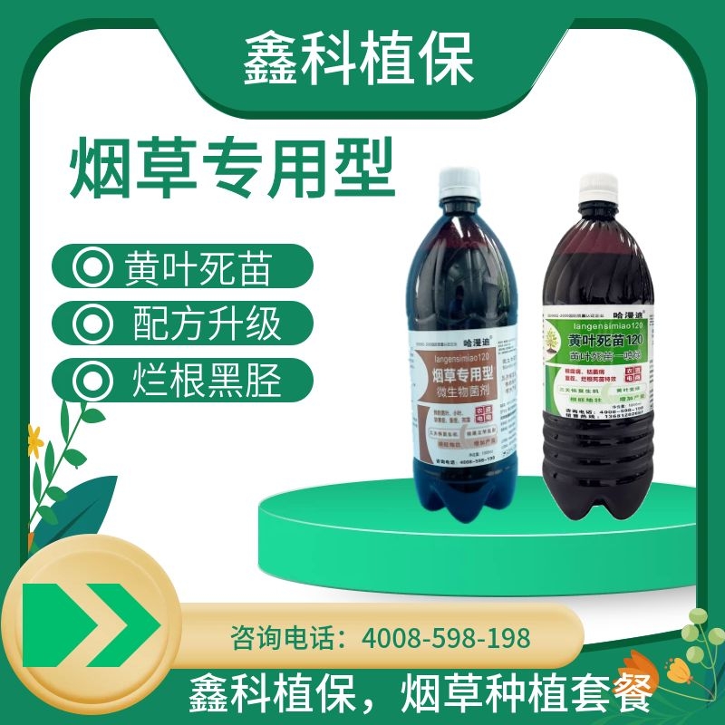 烟草.jpg