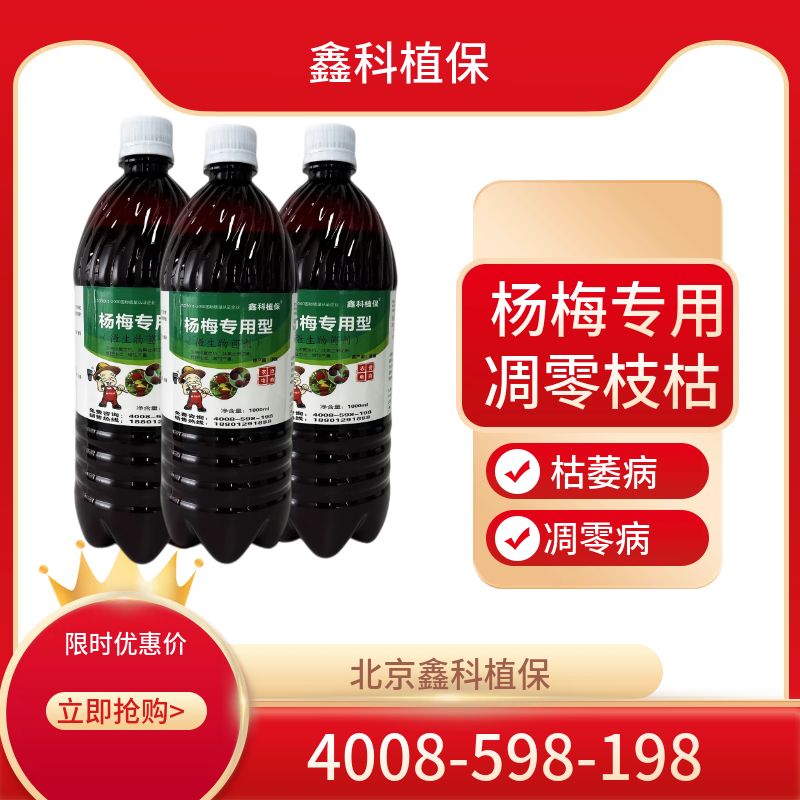 杨梅专用.jpg