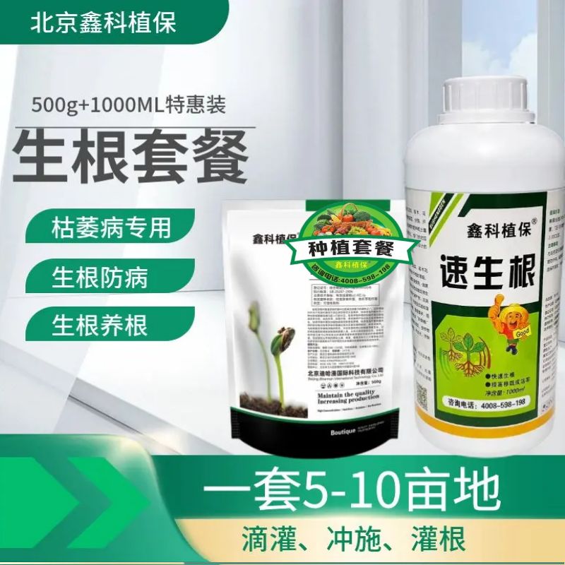 生根.jpg
