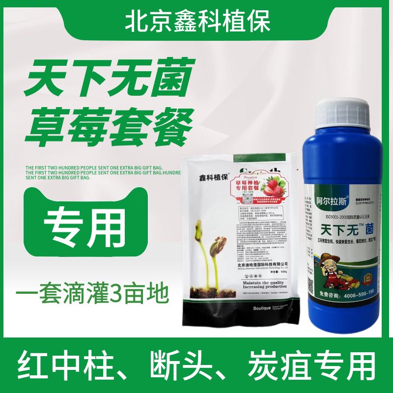 天下无菌草莓套餐.jpg