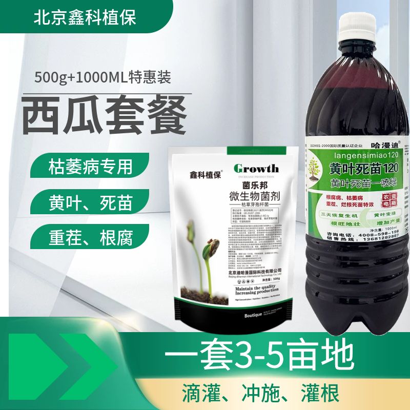 西瓜黄叶套餐2.jpg