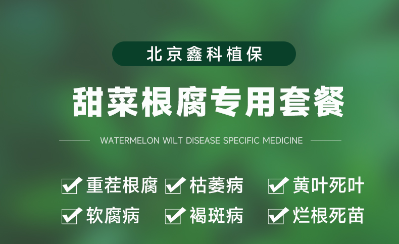 详情页_01.jpg