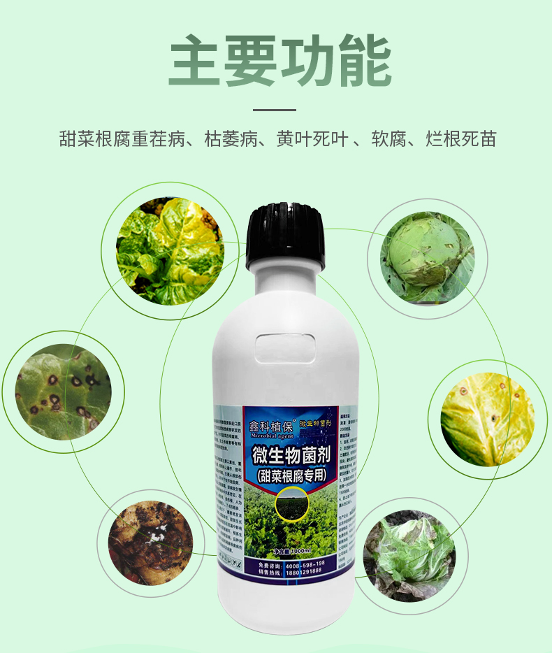 详情页_04.jpg