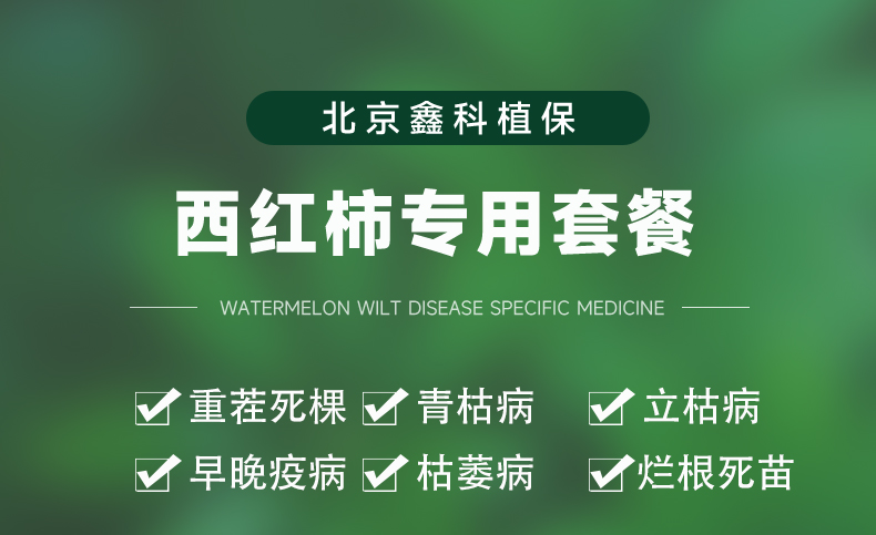 详情页_01.jpg