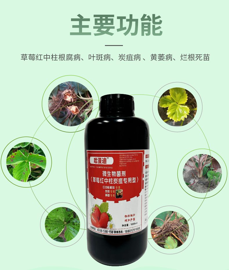 详情页_04.jpg
