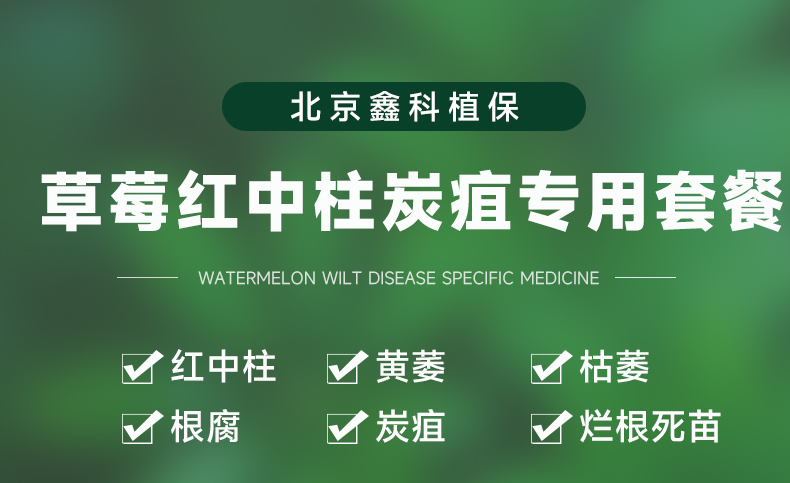 详情页_01.jpg