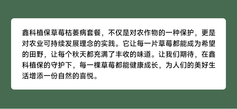 详情页_13.jpg