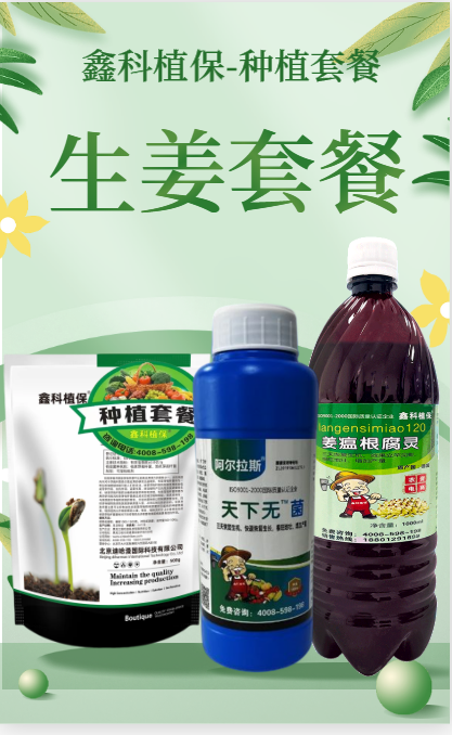 姜瘟3合一套餐.png