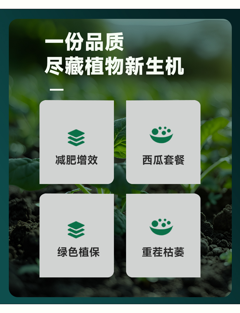 详情页修改_03.jpg