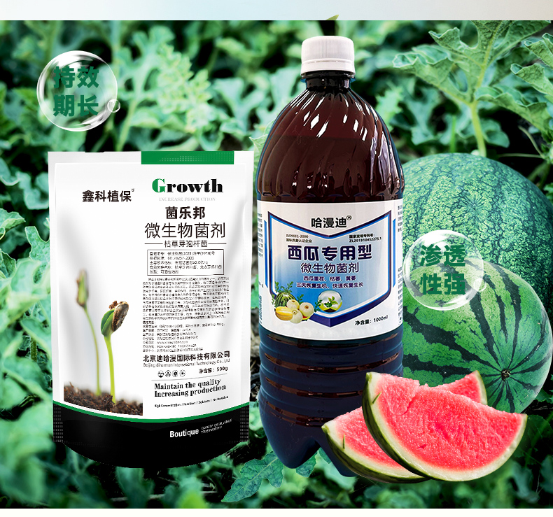 详情页修改_02.jpg