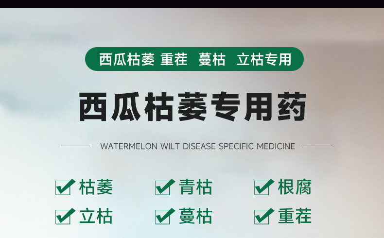 详情页修改_01.jpg